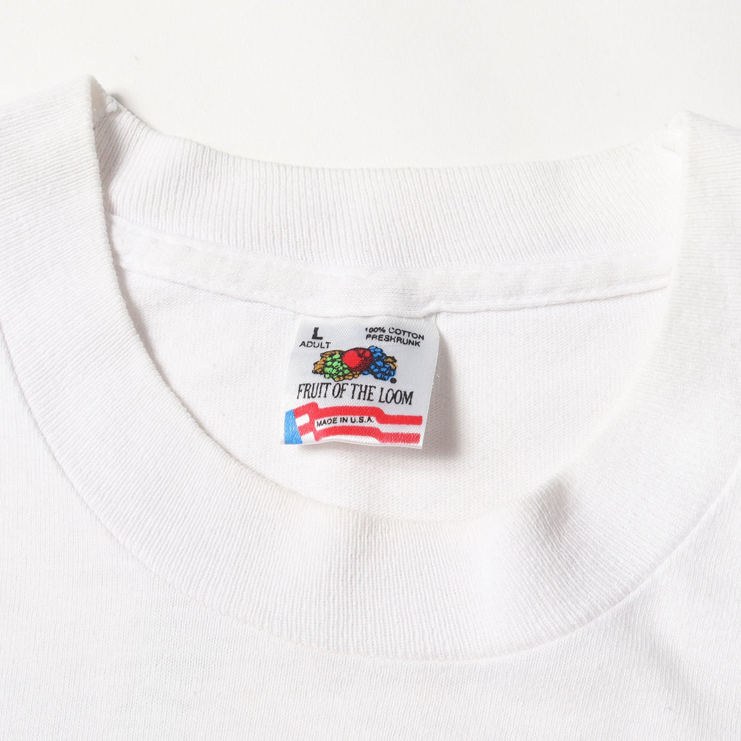 90s カメレオン 四十八手 両面プリント Tシャツ / USA製 FRUIT OF THE ROOM