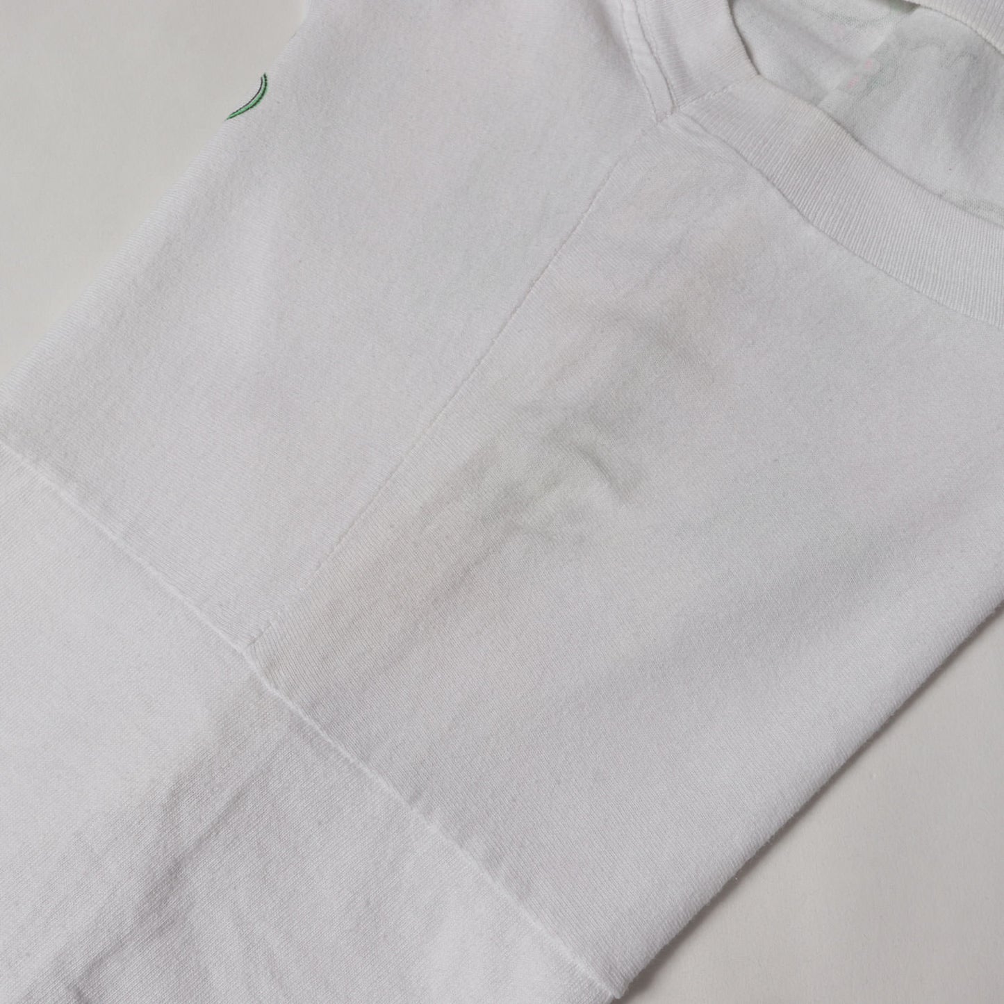 90s カメレオン 四十八手 両面プリント Tシャツ / USA製 FRUIT OF THE ROOM