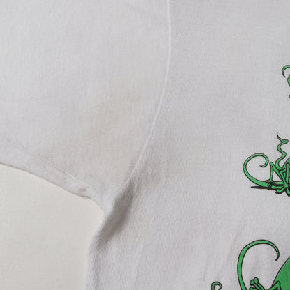 90s カメレオン 四十八手 両面プリント Tシャツ / USA製 FRUIT OF THE ROOM