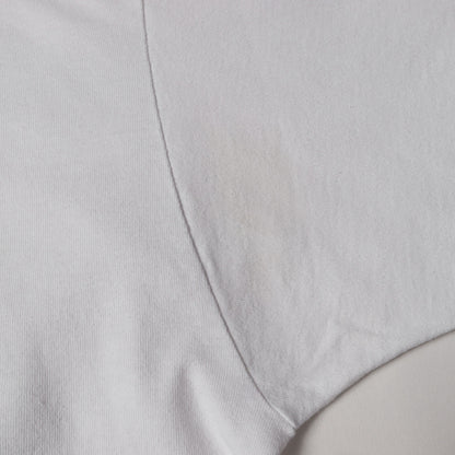 90s カメレオン 四十八手 両面プリント Tシャツ / USA製 FRUIT OF THE ROOM