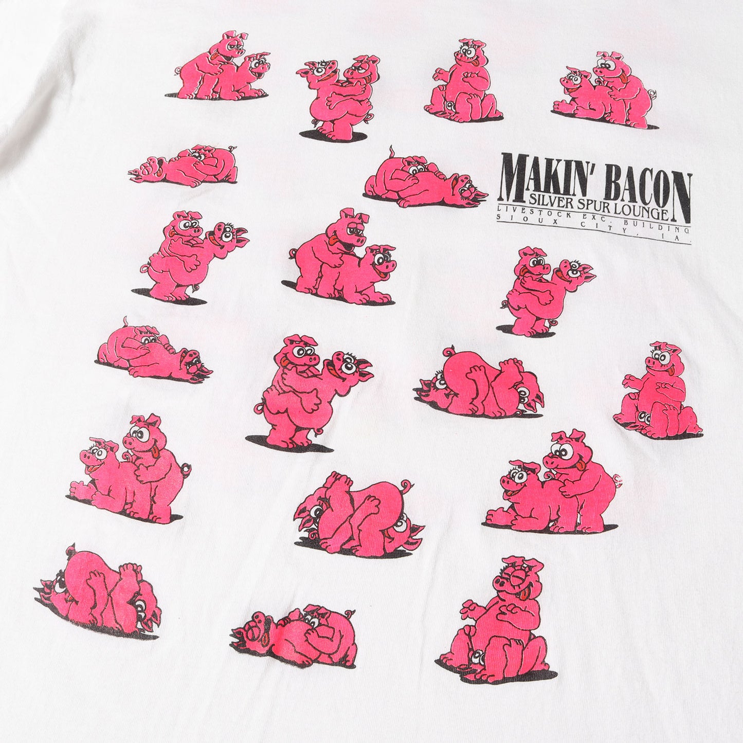 90s ブタ 四十八手 両面プリント エロ Tシャツ / USA製 FRUIT OF THE ROOM