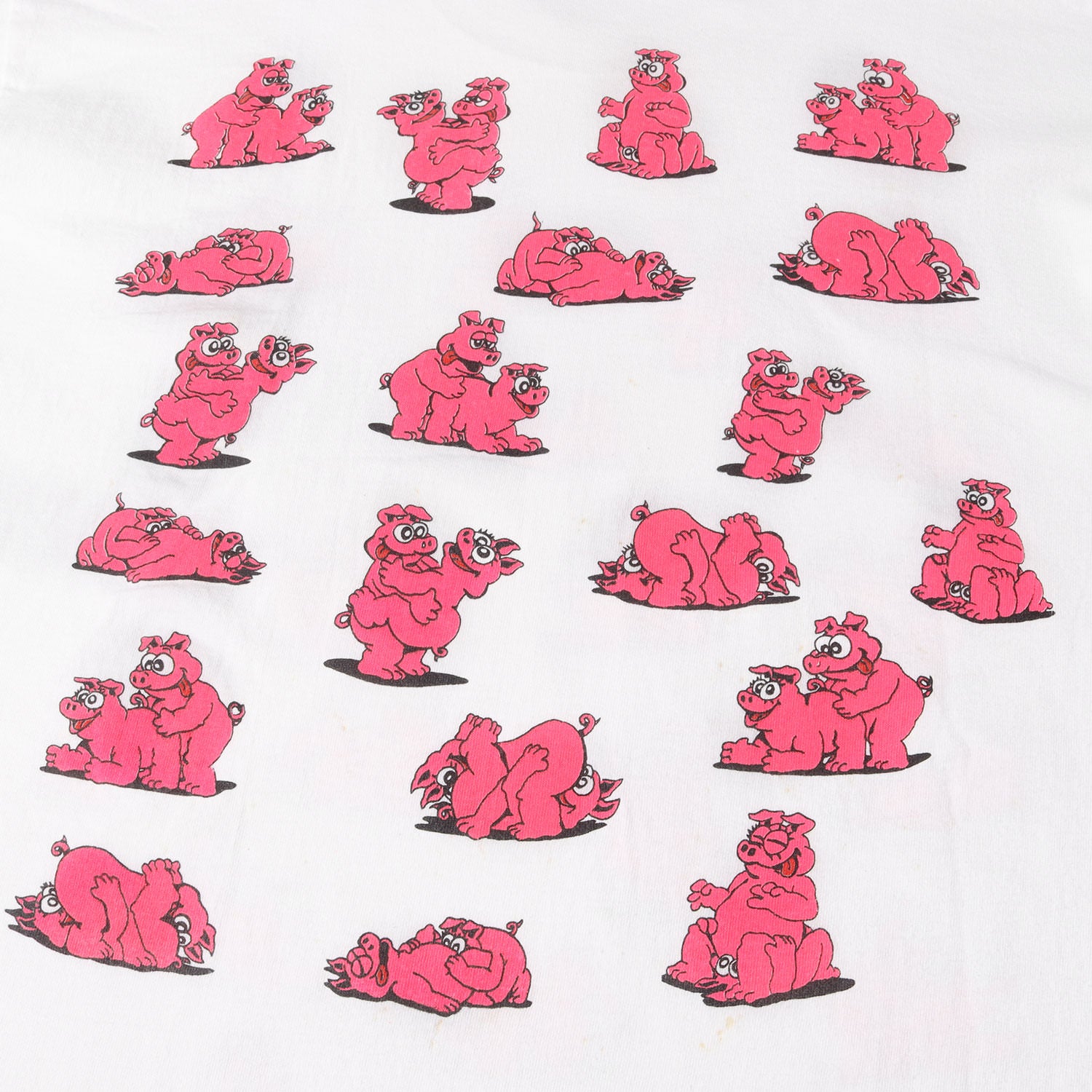 90s ブタ 四十八手 両面プリント エロ Tシャツ / USA製 FRUIT OF THE ROOM - ブランド古着の通販・買取 | BEEGLE  by Boo-Bee