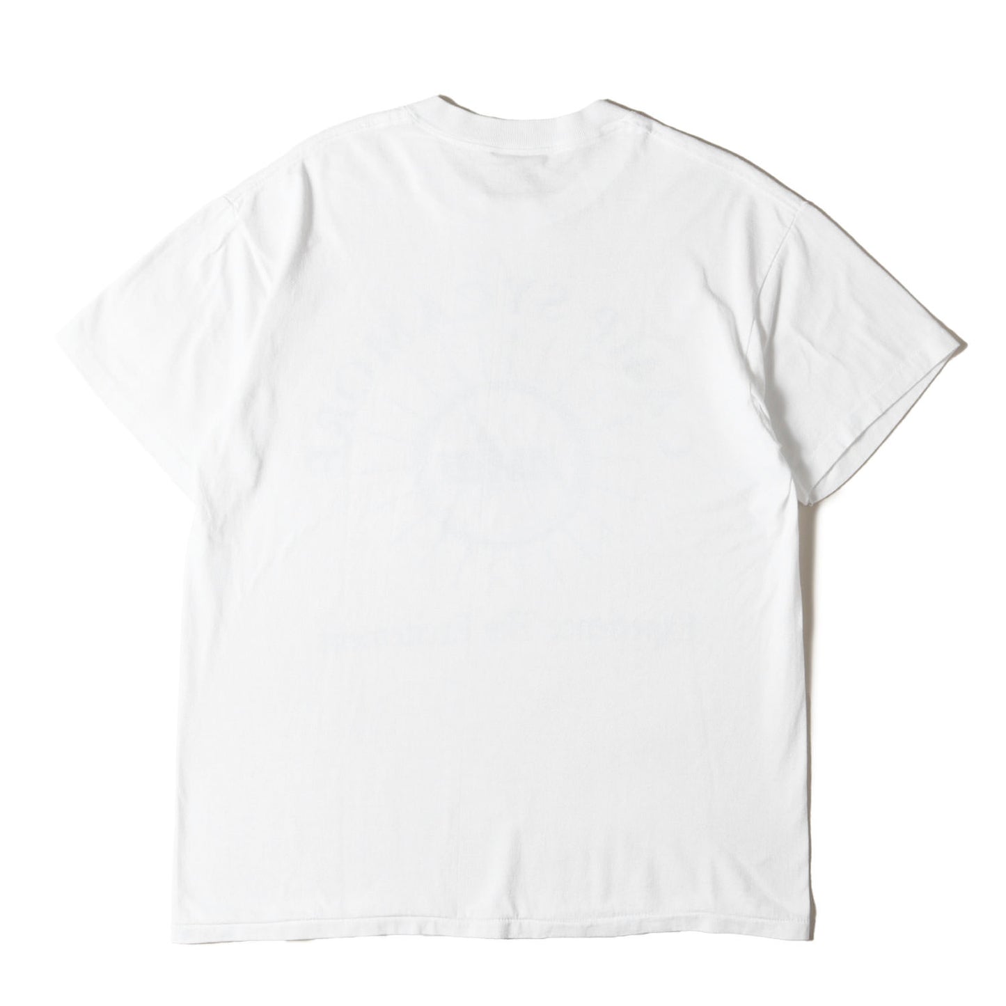 AVES SYCAMORE シカモアハイスクール Tシャツ / メキシコ製 ONEITA