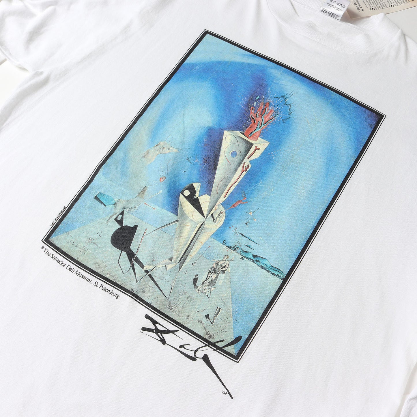 [器官と手] 90s Salvador Dali アートプリント ロングスリーブTシャツ / USA製 サルバドール・ダリ
