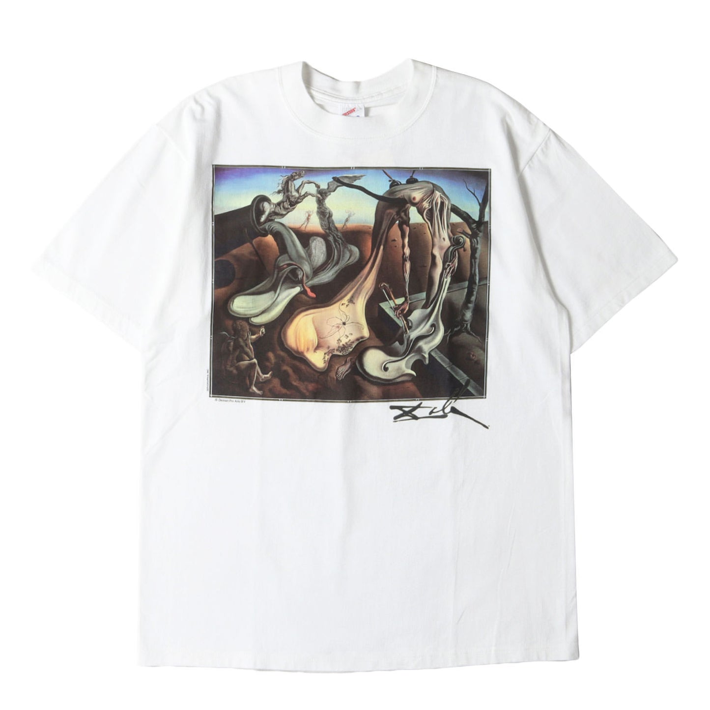 [夜の蜘蛛] 90s Salvador Dali アートプリント Tシャツ / USA製 サルバドール・ダリ