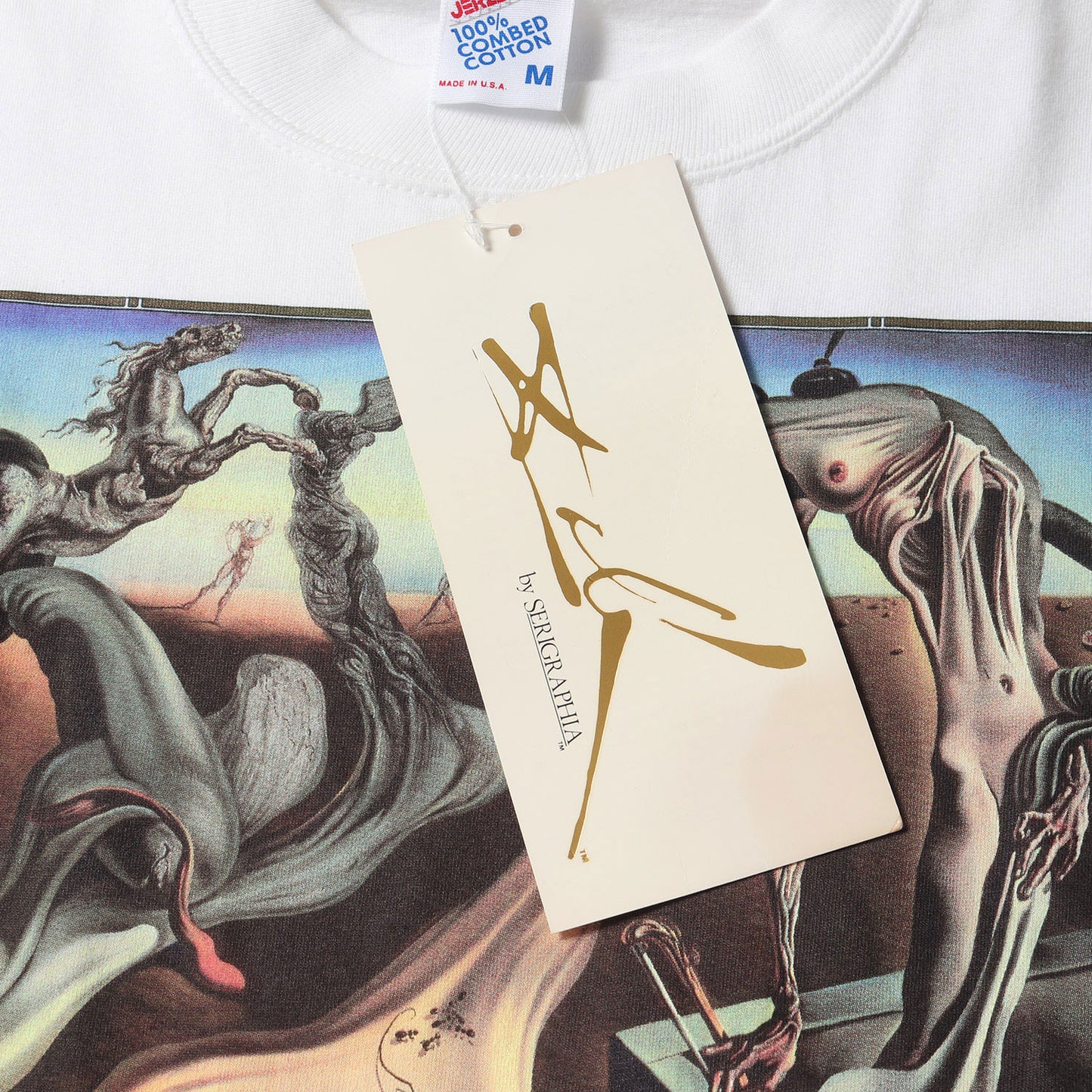 [夜の蜘蛛] 90s Salvador Dali アートプリント Tシャツ / USA製 サルバドール・ダリ