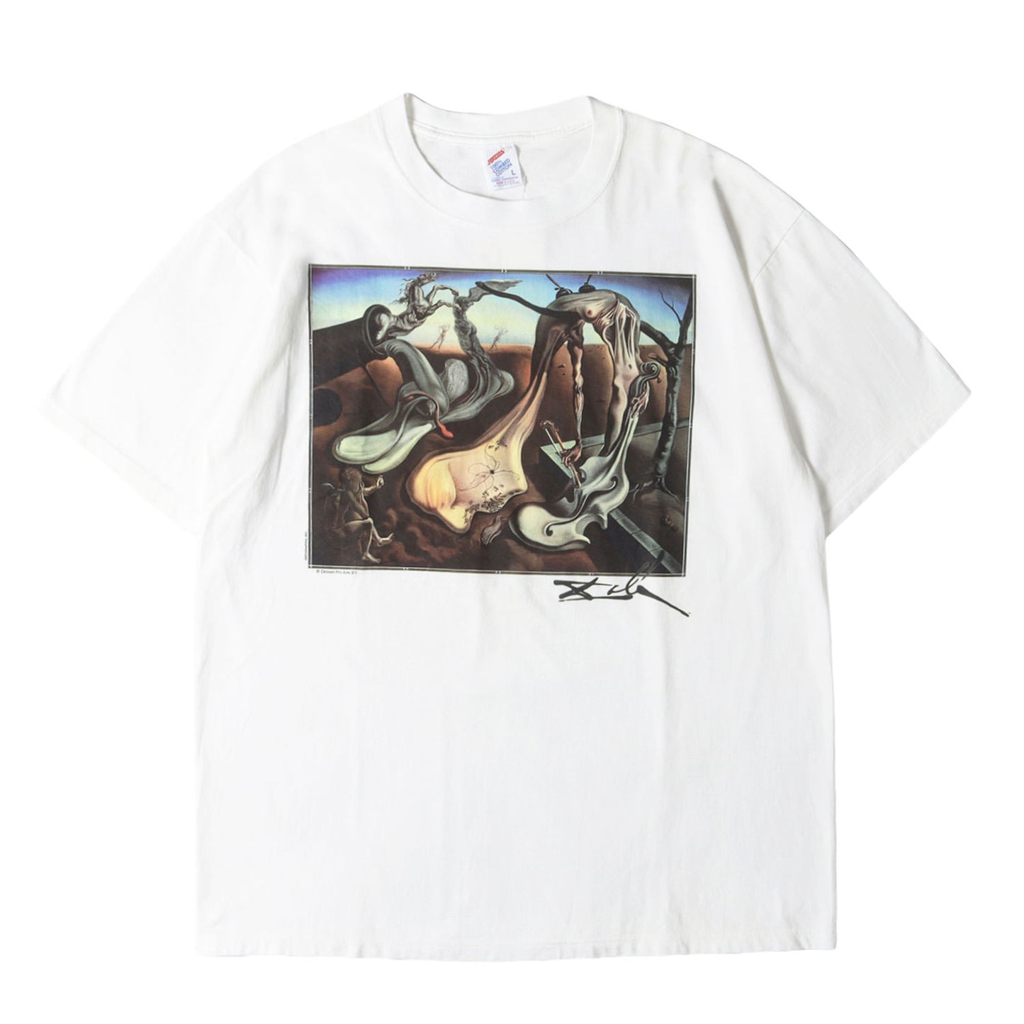 [夜の蜘蛛] 90s Salvador Dali アートプリント Tシャツ / USA製 サルバドール・ダリ