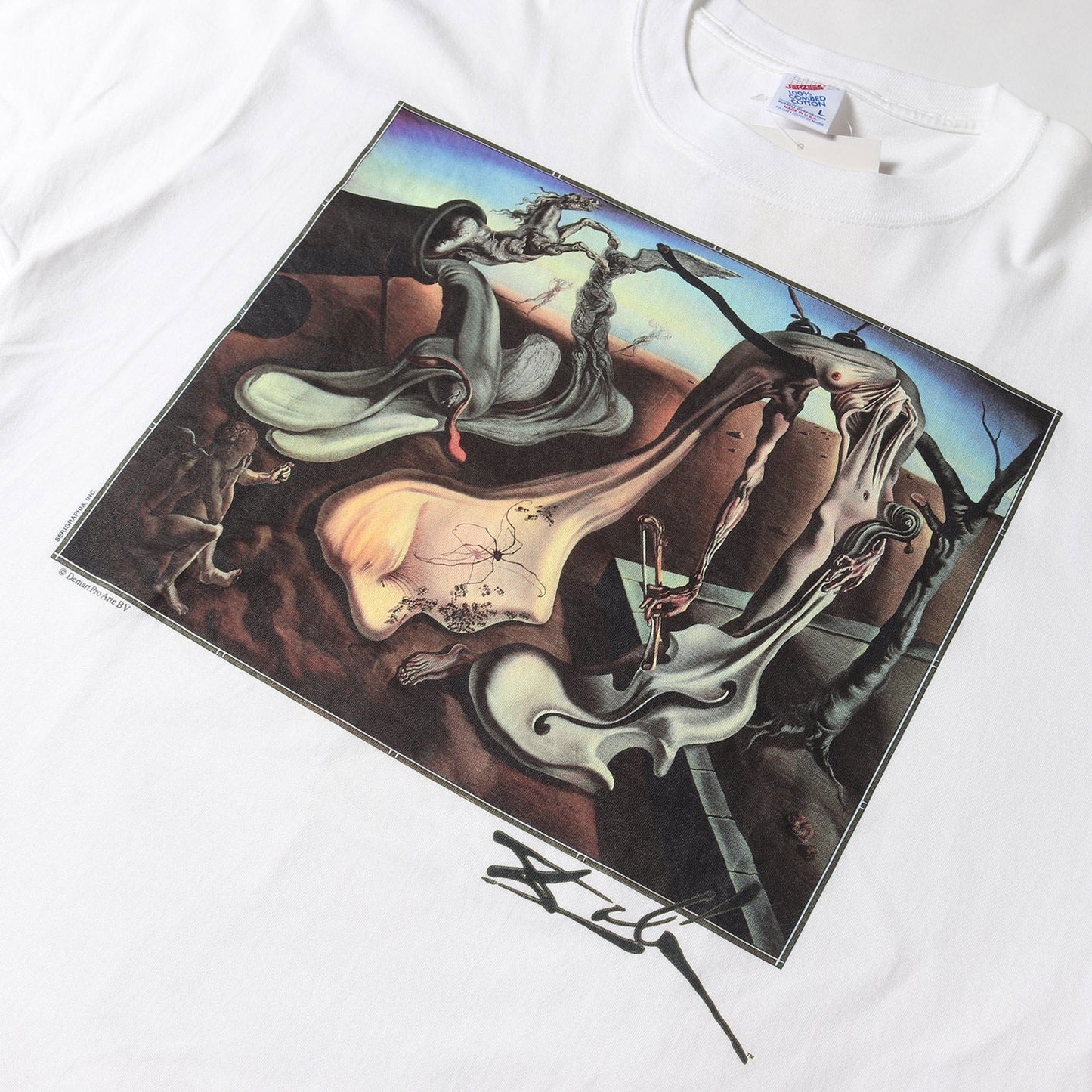[夜の蜘蛛] 90s Salvador Dali アートプリント Tシャツ / USA製 サルバドール・ダリ