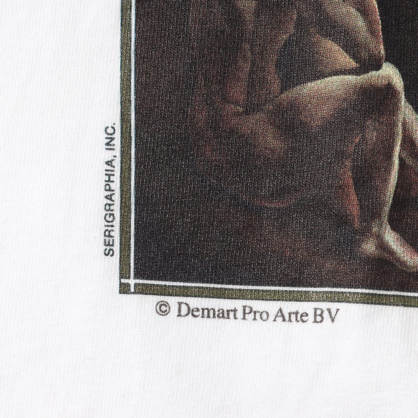 [夜の蜘蛛] 90s Salvador Dali アートプリント Tシャツ / USA製 サルバドール・ダリ