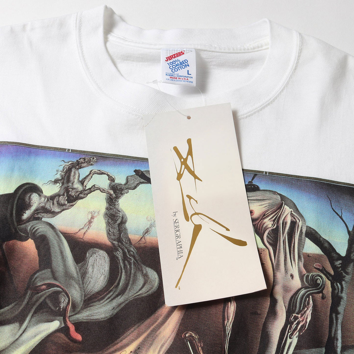 [夜の蜘蛛] 90s Salvador Dali アートプリント Tシャツ / USA製 サルバドール・ダリ