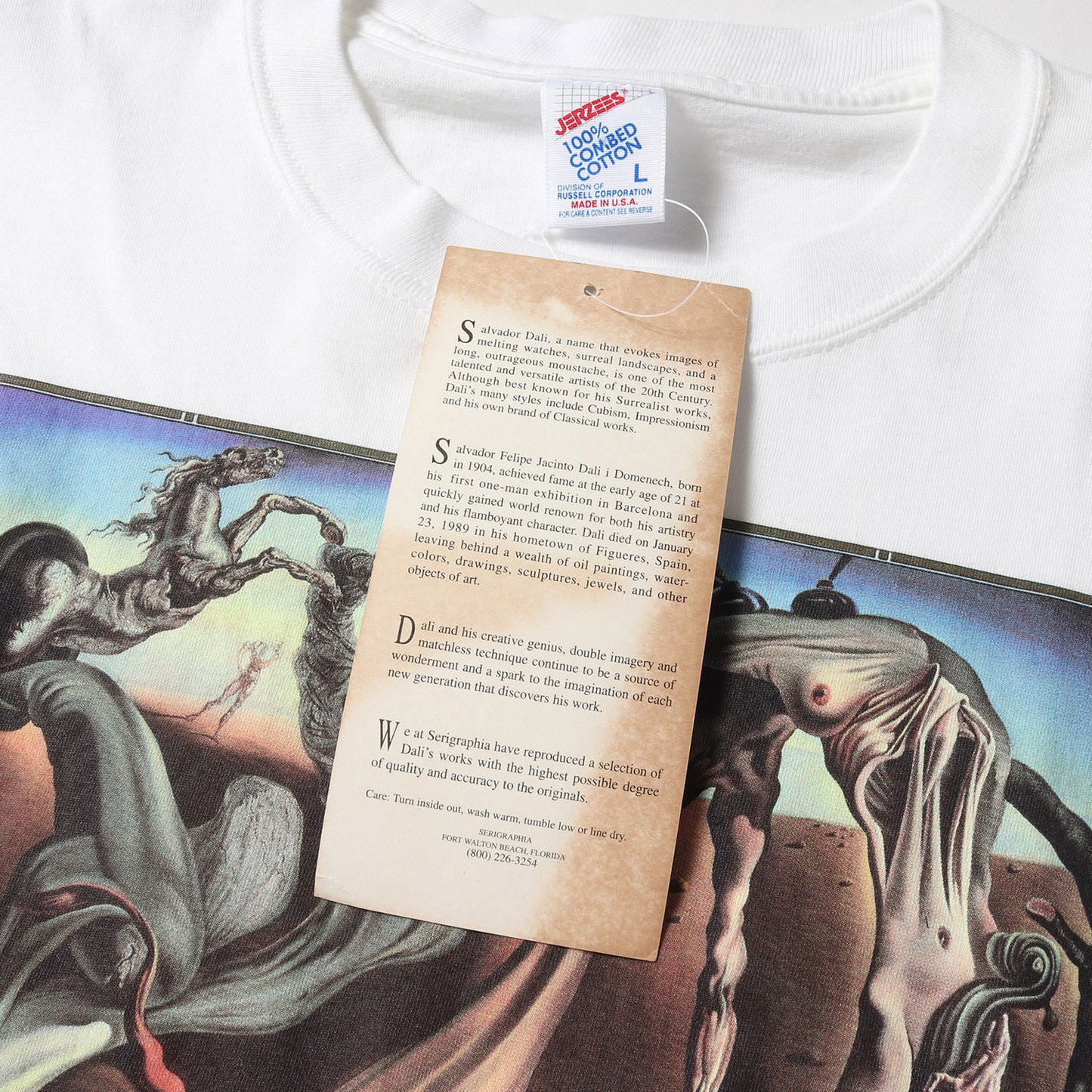 [夜の蜘蛛] 90s Salvador Dali アートプリント Tシャツ / USA製 サルバドール・ダリ