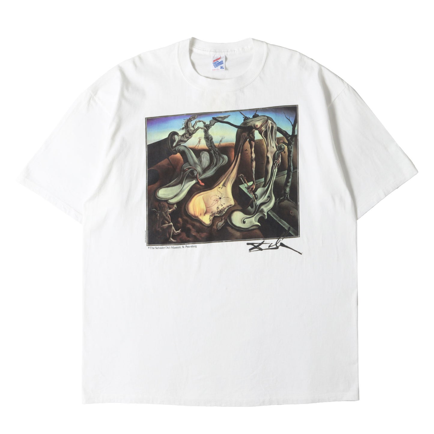 [夜の蜘蛛] 90s Salvador Dali アートプリント Tシャツ / USA製 サルバドール・ダリ