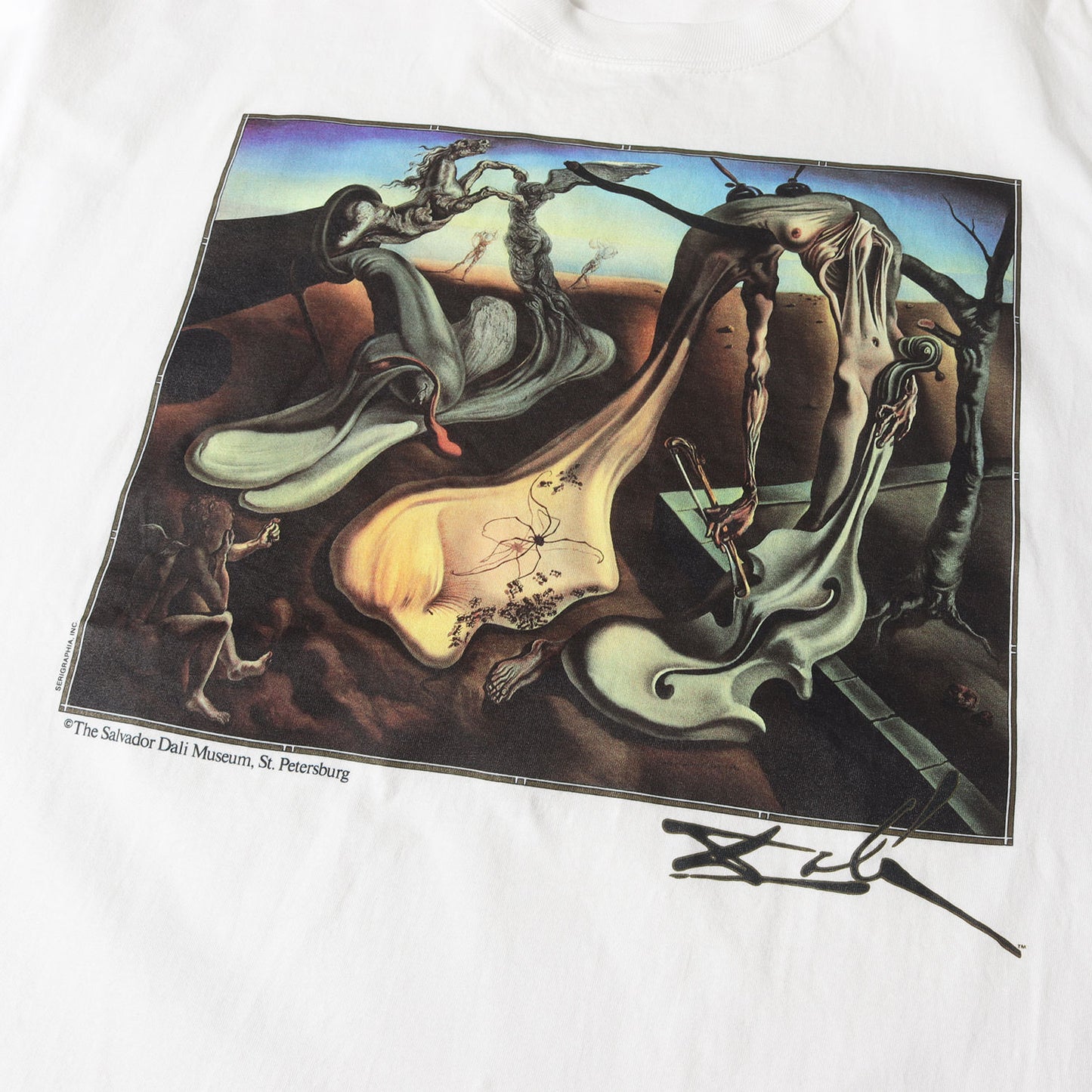 [夜の蜘蛛] 90s Salvador Dali アートプリント Tシャツ / USA製 サルバドール・ダリ