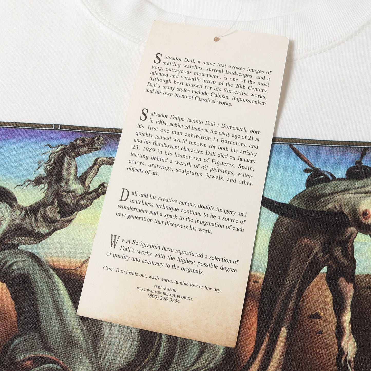 [夜の蜘蛛] 90s Salvador Dali アートプリント Tシャツ / USA製 サルバドール・ダリ