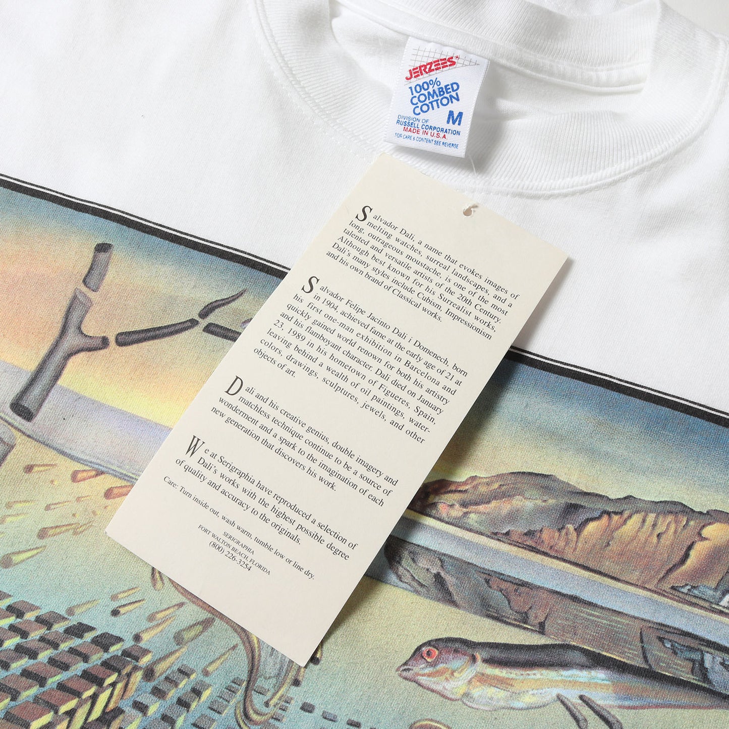 [記憶の固執の崩壊] 90s Salvador Dali アートプリント Tシャツ / USA製 サルバドール・ダリ