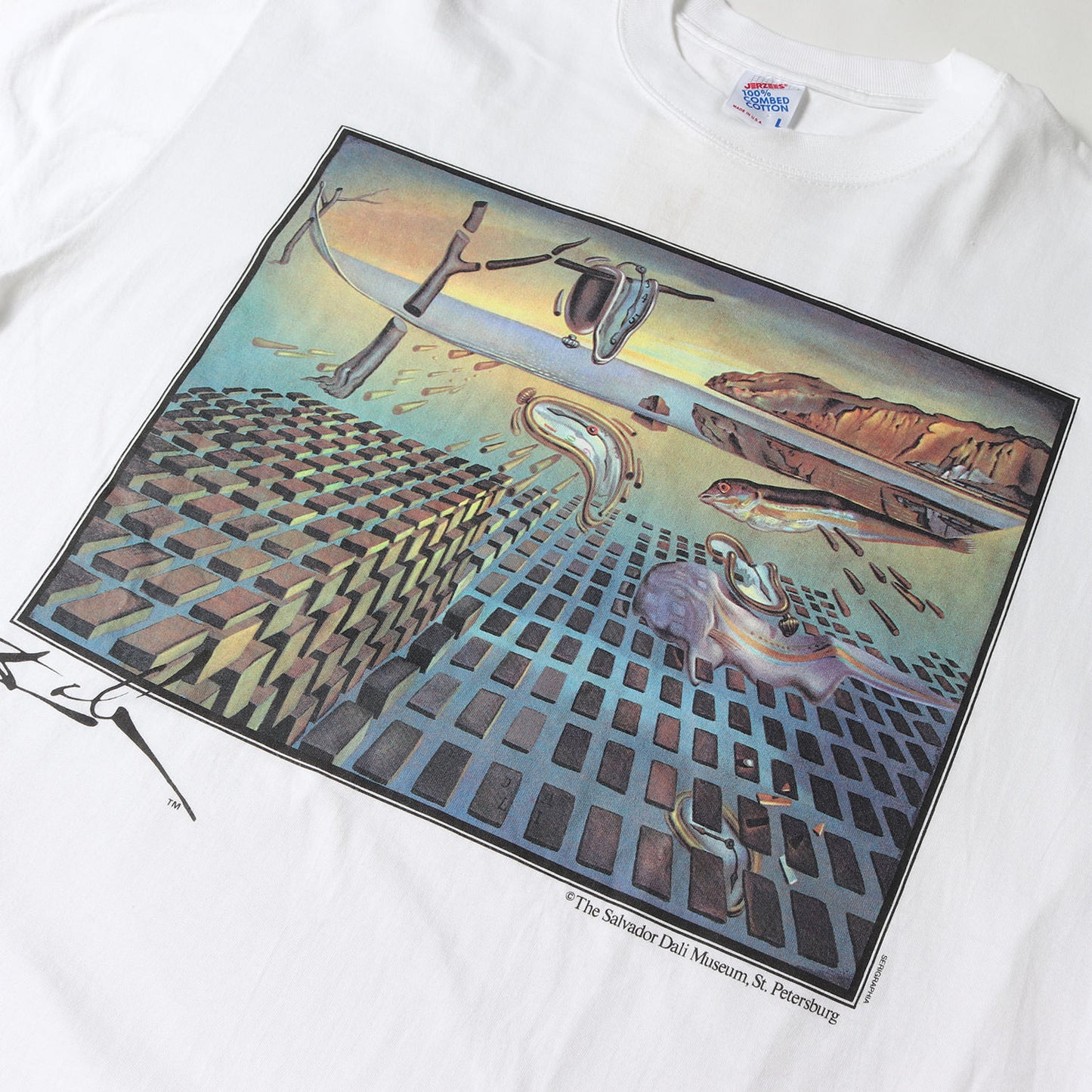 [記憶の固執の崩壊] 90s Salvador Dali アートプリント Tシャツ / USA製 サルバドール・ダリ