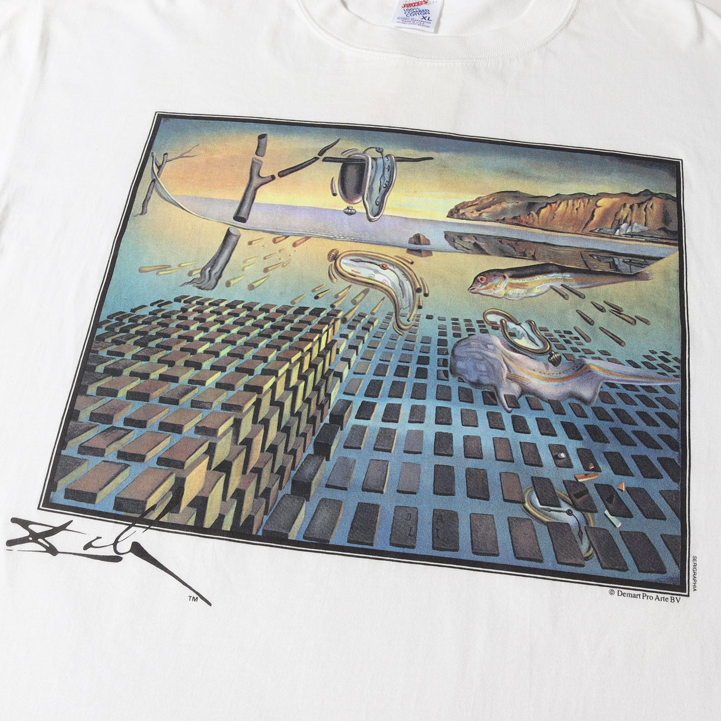 [記憶の固執の崩壊] 90s Salvador Dali アートプリント Tシャツ / USA製 サルバドール・ダリ