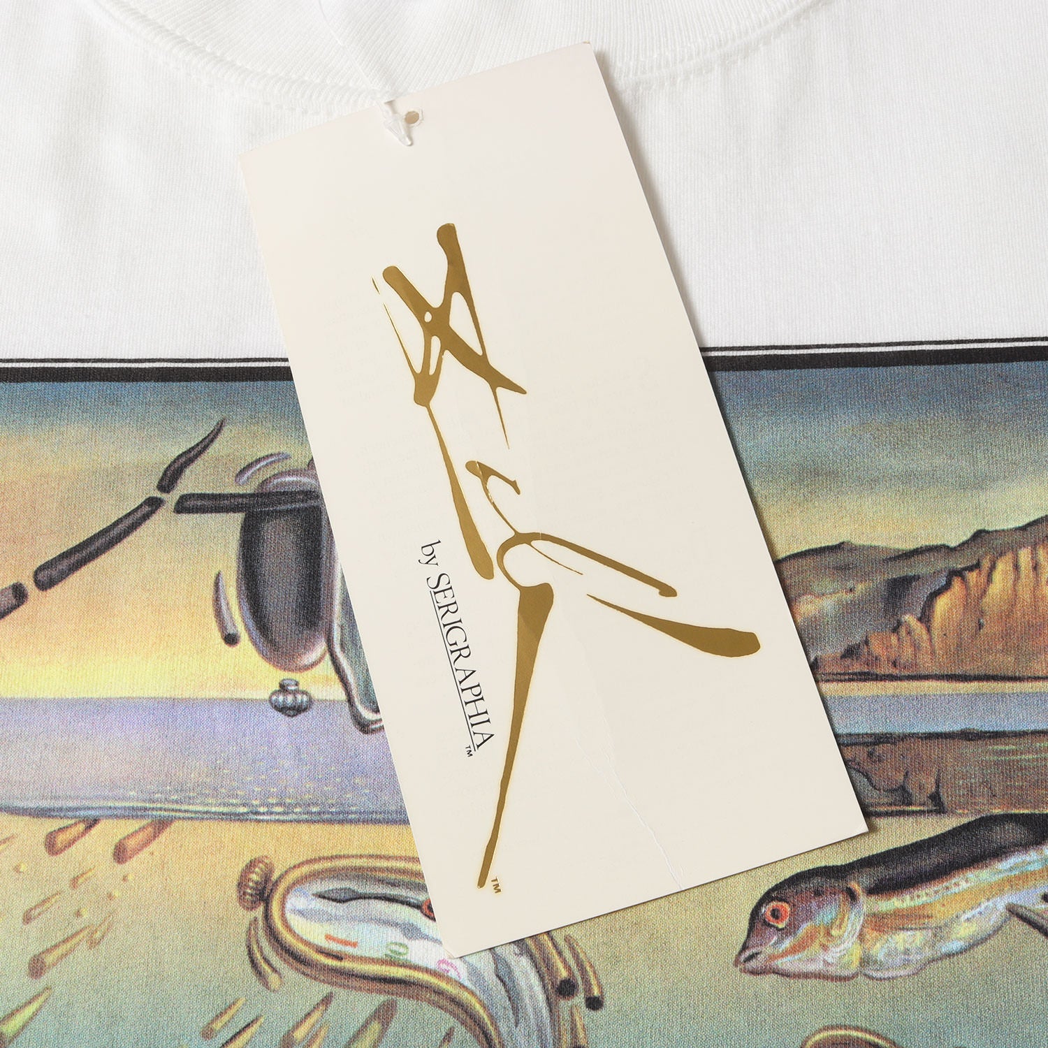 記憶の固執の崩壊] 90s Salvador Dali アートプリント Tシャツ / USA製
