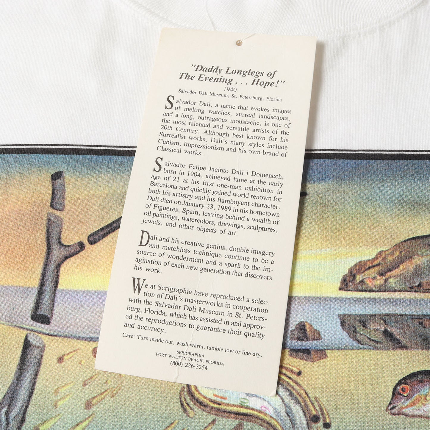 [記憶の固執の崩壊] 90s Salvador Dali アートプリント Tシャツ / USA製 サルバドール・ダリ