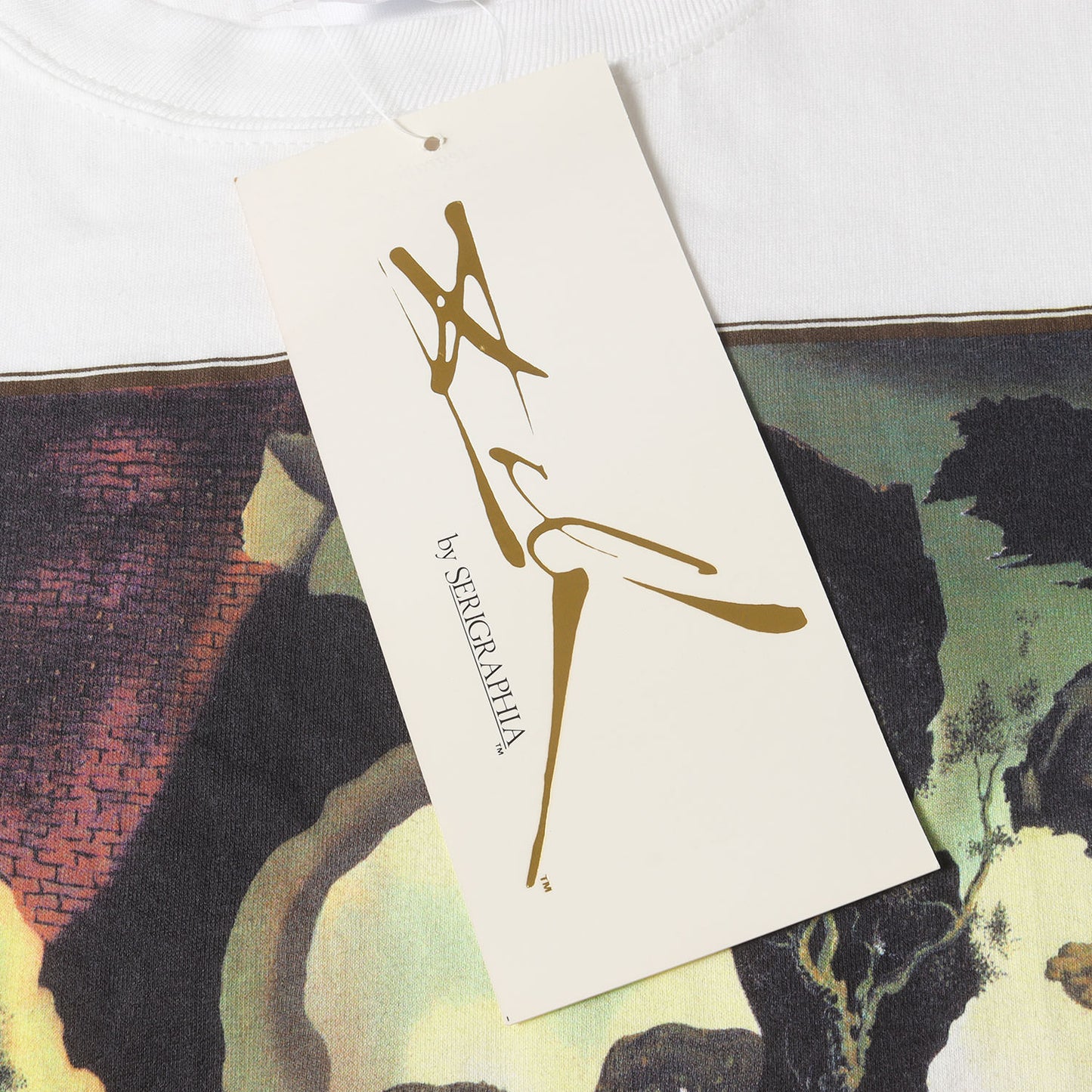 [老年 青年 幼年] 90s Salvador Dali アートプリント Tシャツ / USA製 サルバドール・ダリ