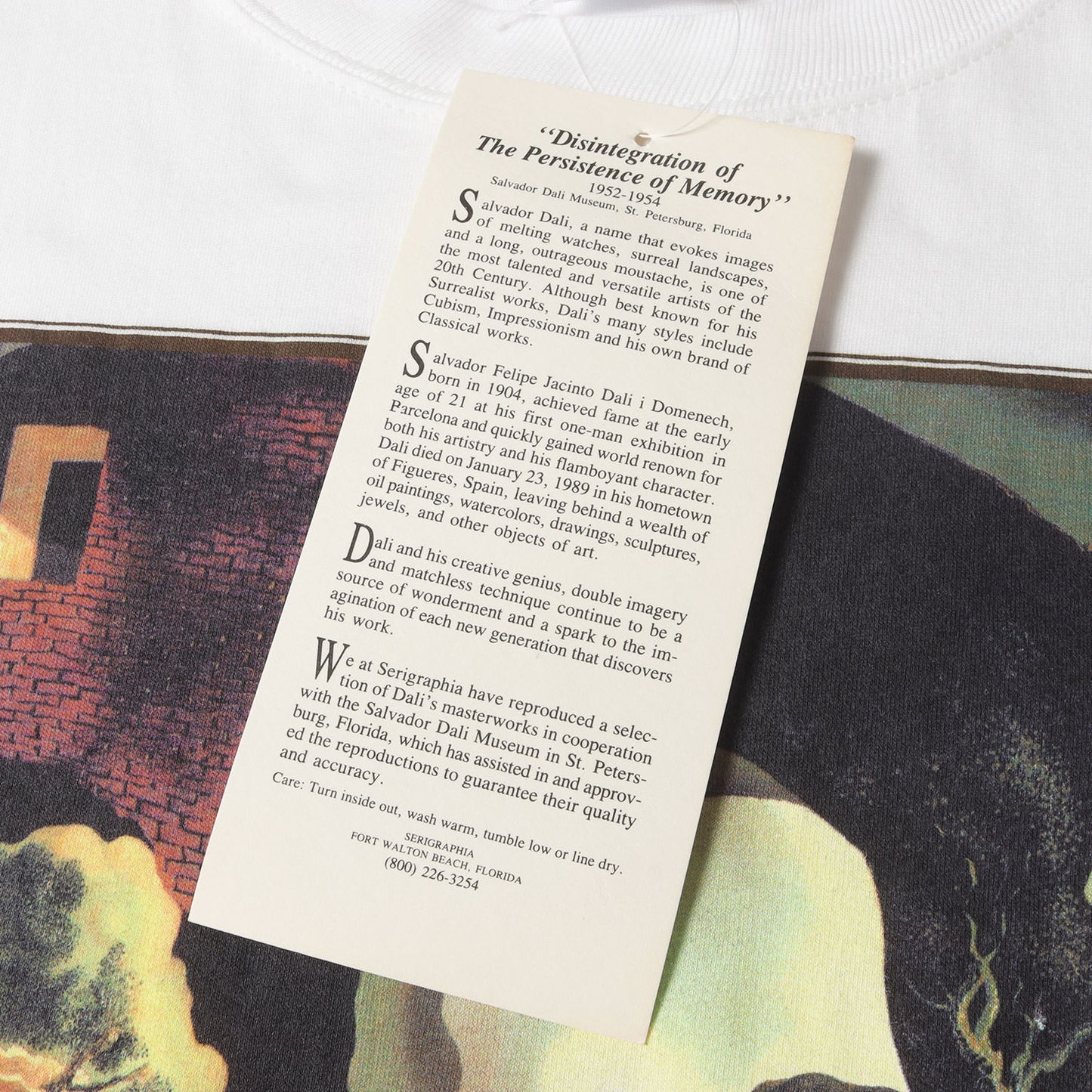 [老年 青年 幼年] 90s Salvador Dali アートプリント Tシャツ / USA製 サルバドール・ダリ