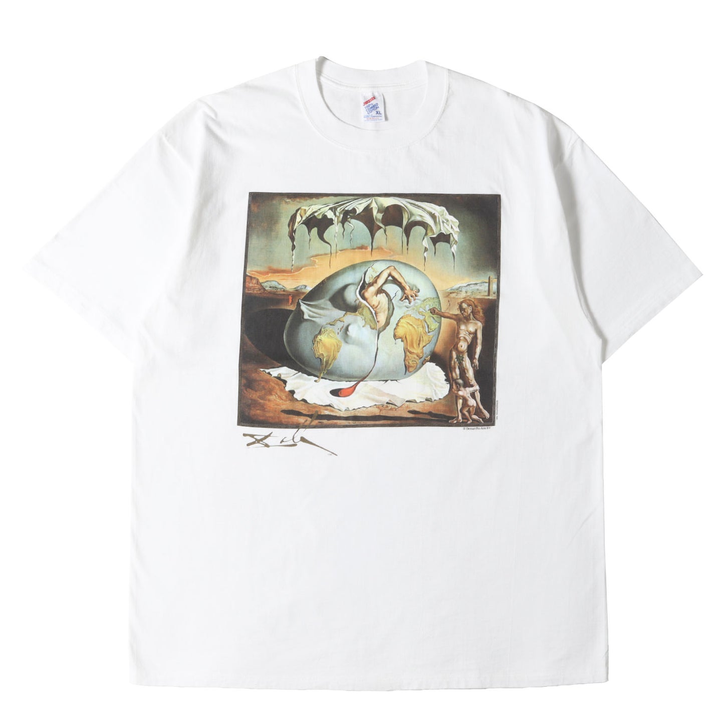 [新人類の誕生を見つめる地政学の子供] 90s Salvador Dali アートプリント Tシャツ / USA製 サルバドール・ダリ