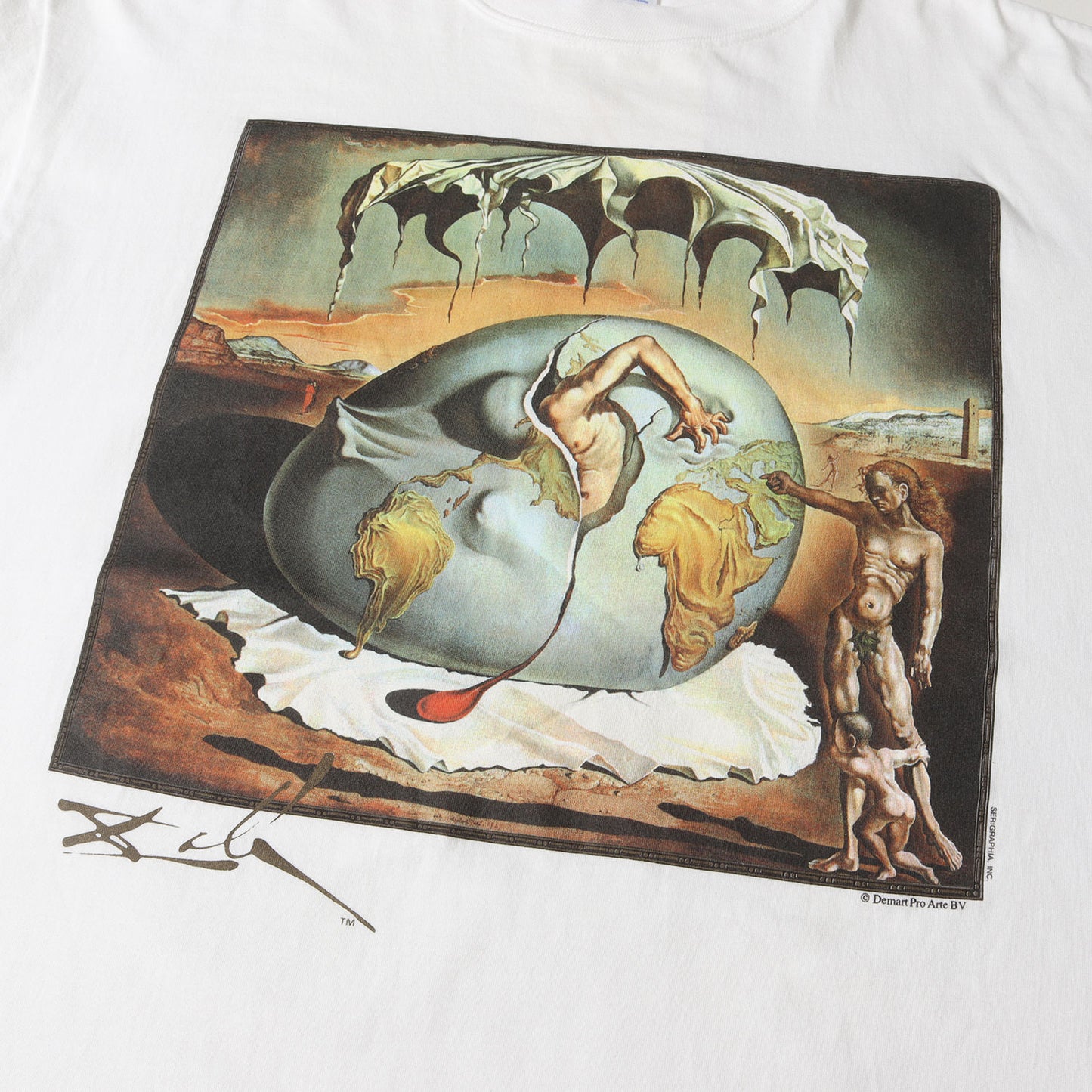 [新人類の誕生を見つめる地政学の子供] 90s Salvador Dali アートプリント Tシャツ / USA製 サルバドール・ダリ