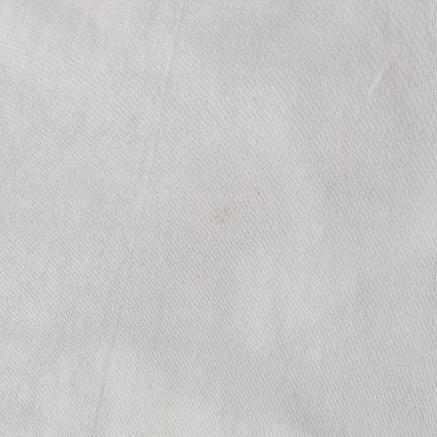 [新人類の誕生を見つめる地政学の子供] 90s Salvador Dali アートプリント Tシャツ / USA製 サルバドール・ダリ