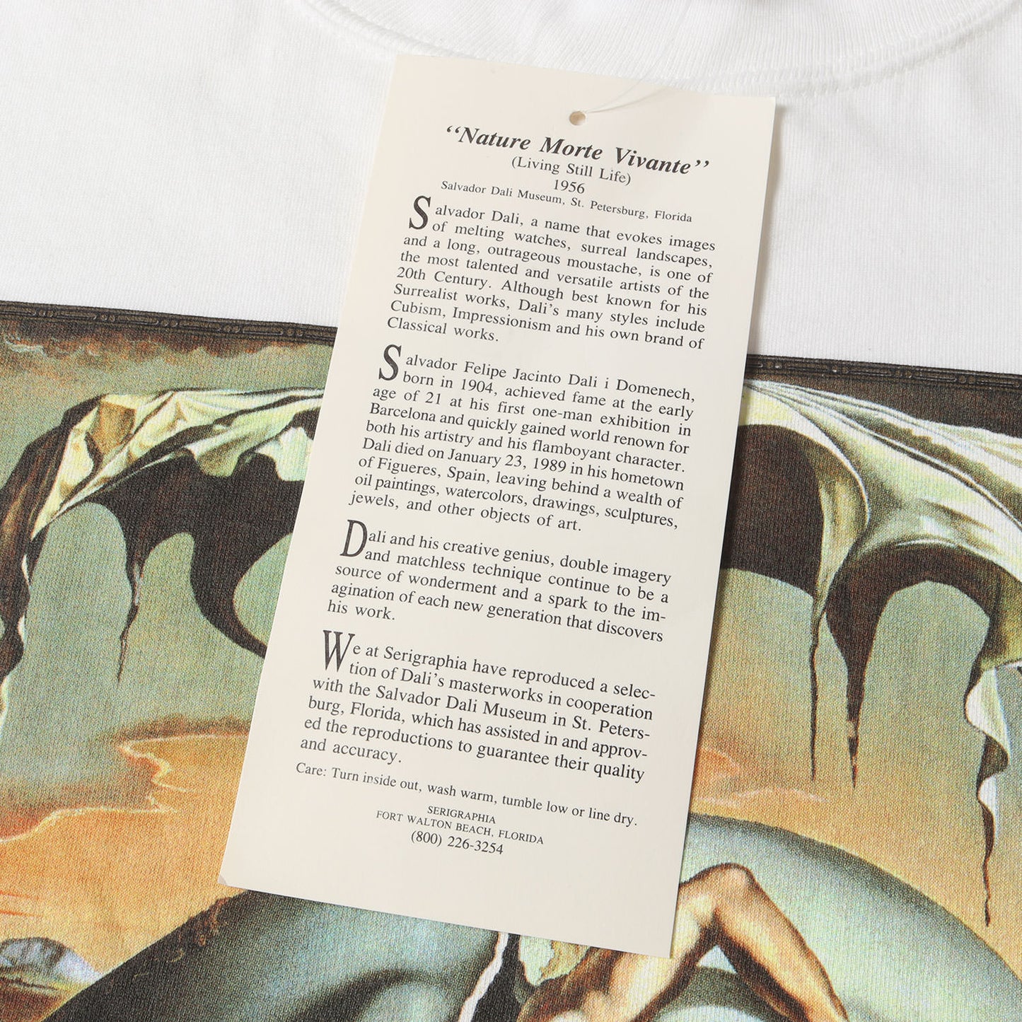 [新人類の誕生を見つめる地政学の子供] 90s Salvador Dali アートプリント Tシャツ / USA製 サルバドール・ダリ