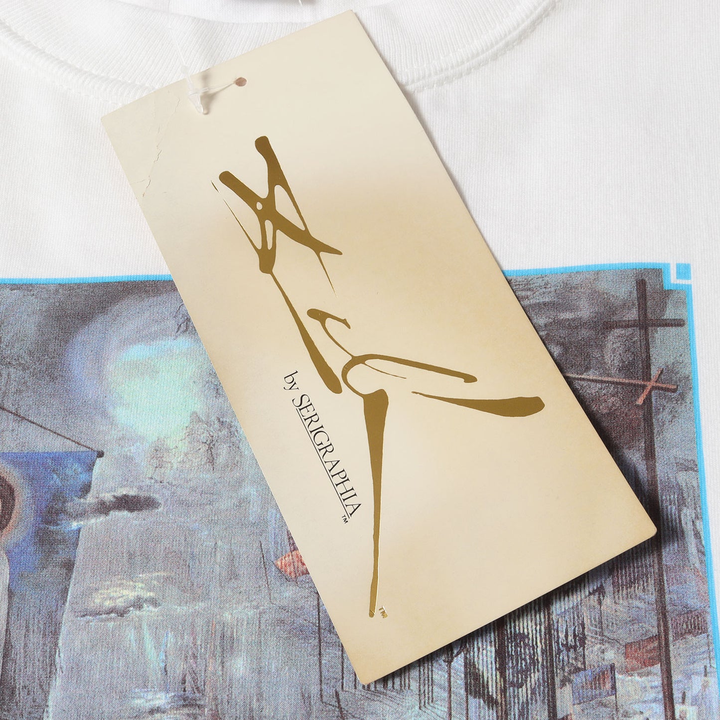 [コロンブスによるアメリカの発見] 90s Salvador Dali アートプリント Tシャツ / USA製 サルバドール・ダリ