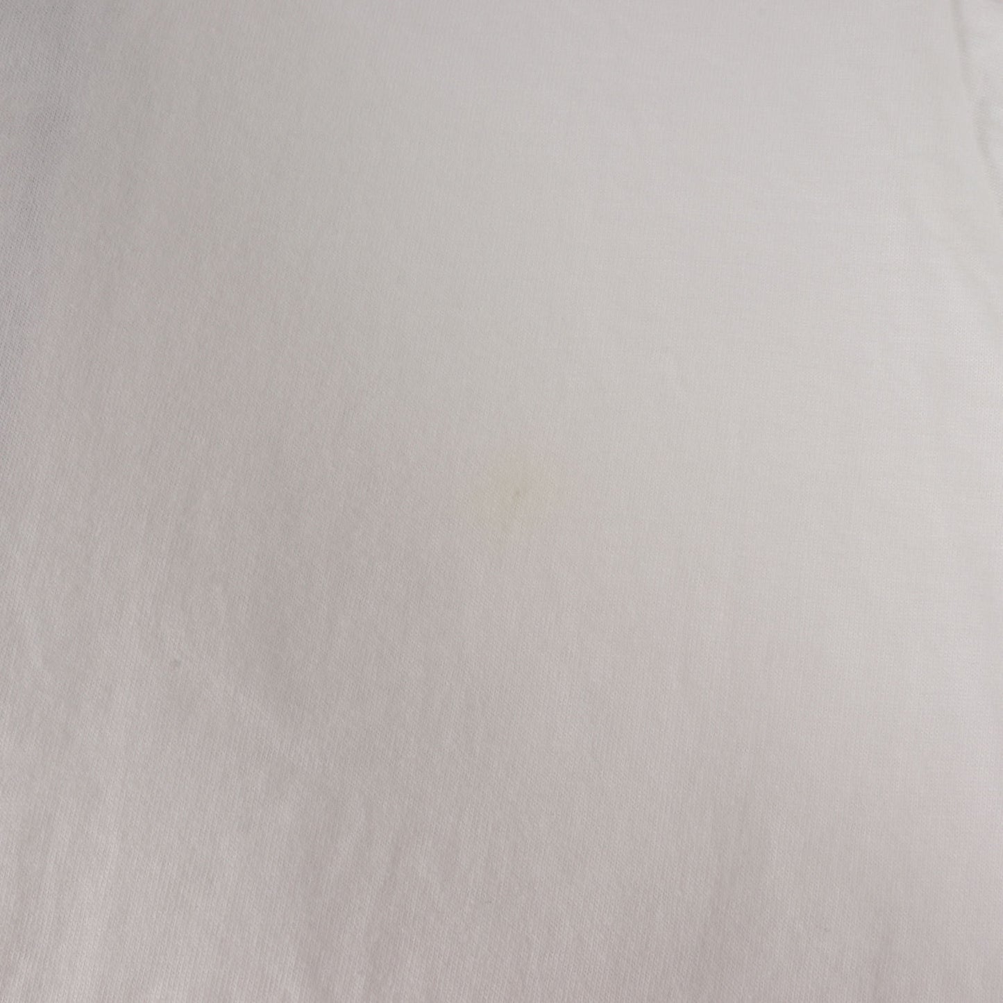 [幻覚剤的闘牛士] 90s Salvador Dali アートプリント Tシャツ / USA製 サルバドール・ダリ