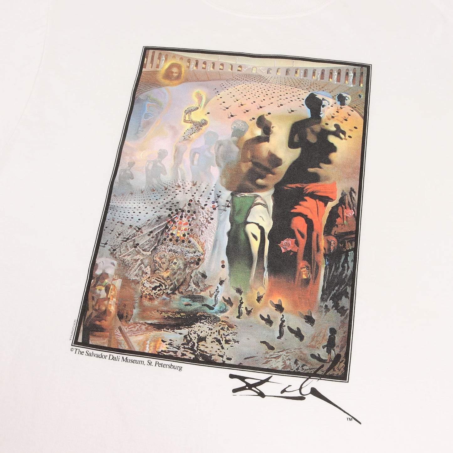 [幻覚剤的闘牛士] 90s Salvador Dali アートプリント Tシャツ / USA製 サルバドール・ダリ