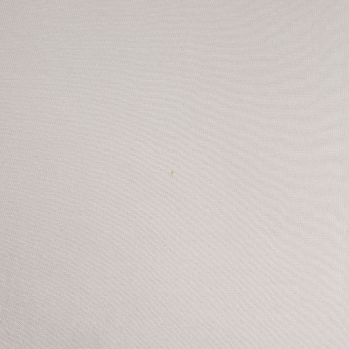 [幻覚剤的闘牛士] 90s Salvador Dali アートプリント Tシャツ / USA製 サルバドール・ダリ