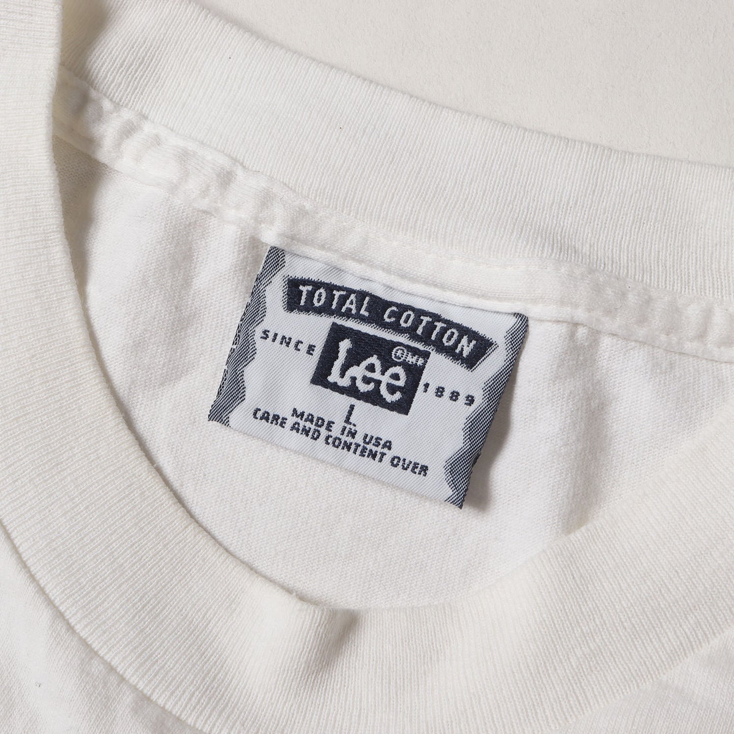 90s スカル デザート サーフィン Tシャツ / USA製 Lee