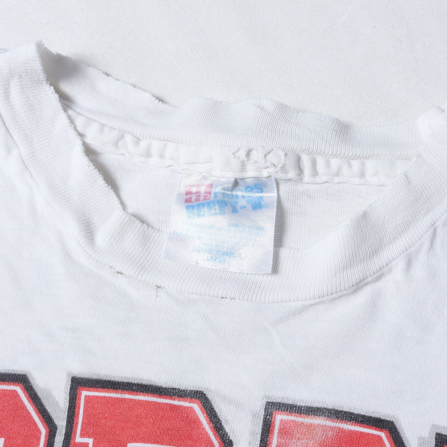 [雰囲気抜群] 90s LORD'S GYM LIVING EPISTLES ジーザス Tシャツ / USA製 Hanes